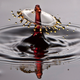 Illustration for article titled 195 Splashing, Rippling Wallpapers
